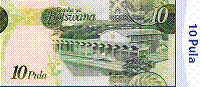 P10  back